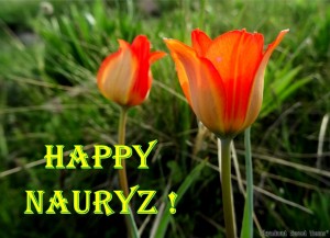 Happy Nauryz!