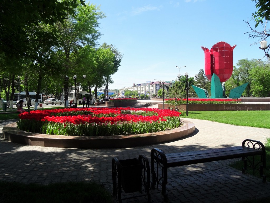 Parc fontaine tulipe