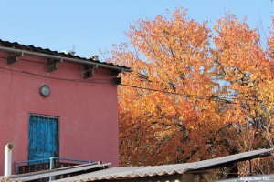 Fall in Shymkent